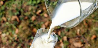 Is Milk Actually Good For Strengthening Bones?