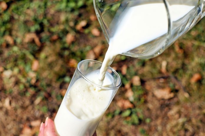 Is Milk Actually Good For Strengthening Bones?