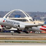 American Airlines Accidentally Flew Passenger’s Dog To Wrong City