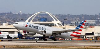 American Airlines Accidentally Flew Passenger’s Dog To Wrong City